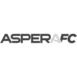 AN1